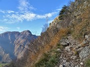 Pizzo di Spino (958 m) da casa-Zogno (300 m) ad anelo il 27 novembre 2020  - FOTOGALLERY